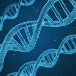 Universal Cancer Vaccine
