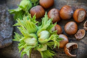 diabetes type 2 diet