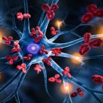 Cure for Autoimmune Disease