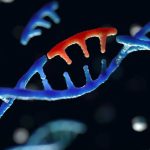 DNA Mutation
