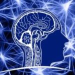 lamotrigine brain
