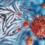 sea virus