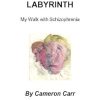 the diabolic labyrinth by cameron carr cover