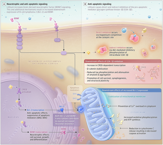 lithium-for-dementia-jama-study